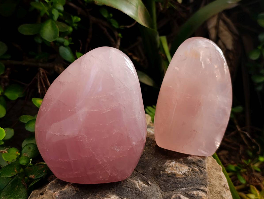 Polished Rose Quartz Standing Free Forms x 2 From Madagascar - Toprock Gemstones and Minerals 