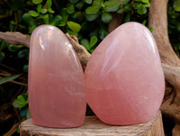 Polished Rose Quartz Standing Free Forms x 2 From Madagascar