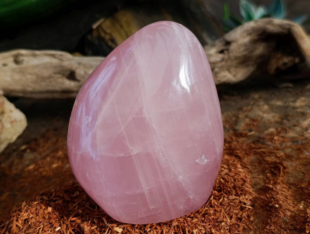 Polished Rose Quartz Standing Free Forms x 2 From Madagascar - Toprock Gemstones and Minerals 