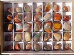 Polished Polychrome Jasper Free Forms x 35 From Madagascar - Toprock Gemstones and Minerals 