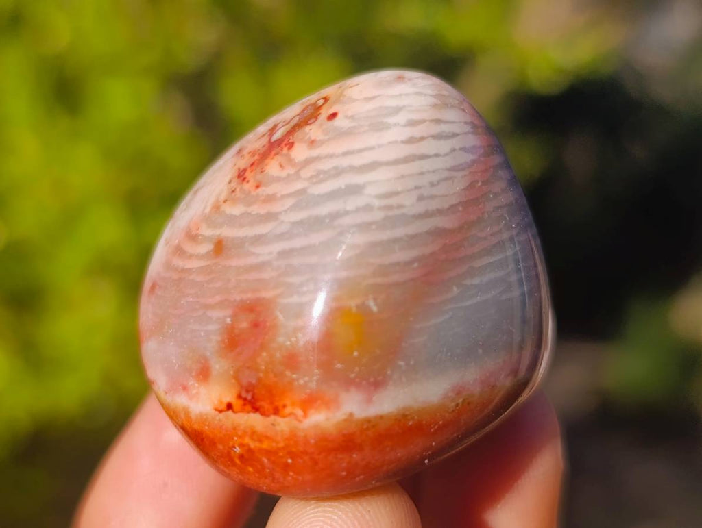 Polished Polychrome Jasper Free Forms x 35 From Madagascar - Toprock Gemstones and Minerals 