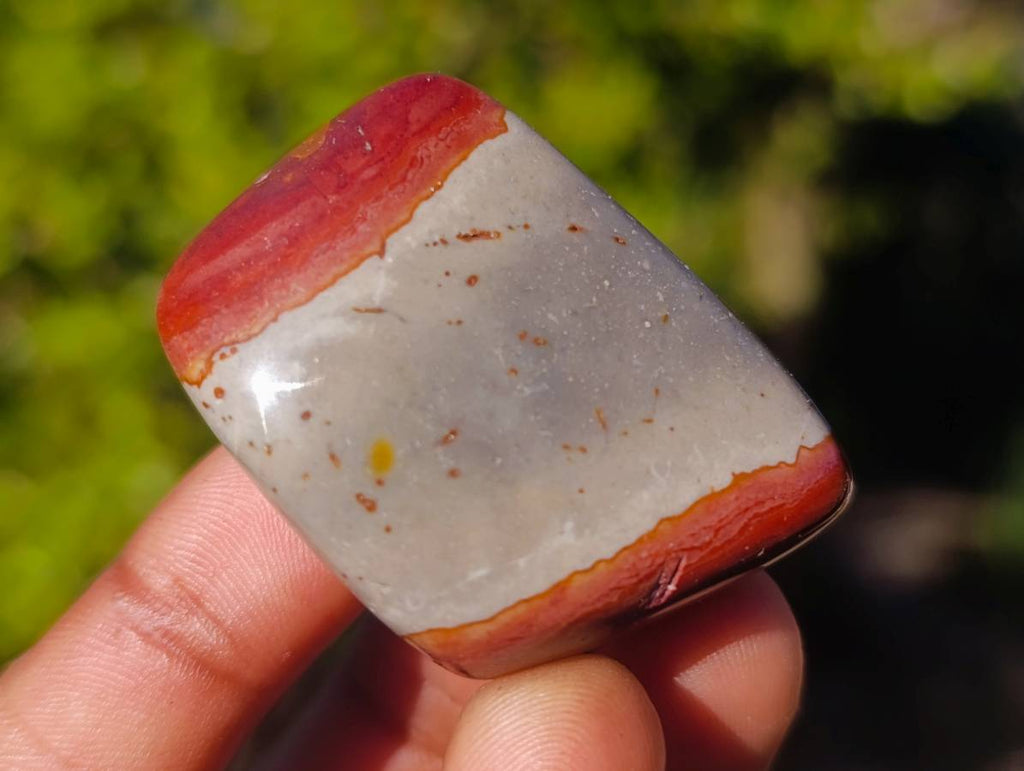 Polished Polychrome Jasper Free Forms x 35 From Madagascar - Toprock Gemstones and Minerals 