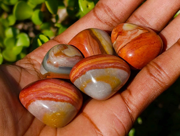 Polished Polychrome Jasper Free Forms x 35 From Madagascar