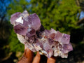 Natural Amethyst Spirit Quartz Clusters x 6 From South Africa - Toprock Gemstones and Minerals 
