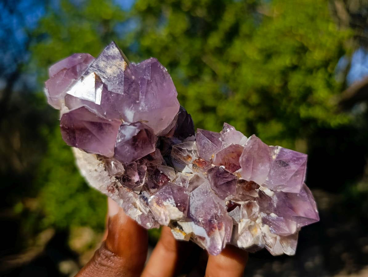 Natural Amethyst Spirit Quartz Clusters x 6 From South Africa - Toprock Gemstones and Minerals 
