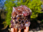 Natural Amethyst Spirit Quartz Clusters x 6 From South Africa - Toprock Gemstones and Minerals 