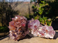 Natural Amethyst Spirit Quartz Clusters x 6 From South Africa - Toprock Gemstones and Minerals 