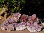 Natural Amethyst Spirit Quartz Clusters x 6 From South Africa - Toprock Gemstones and Minerals 