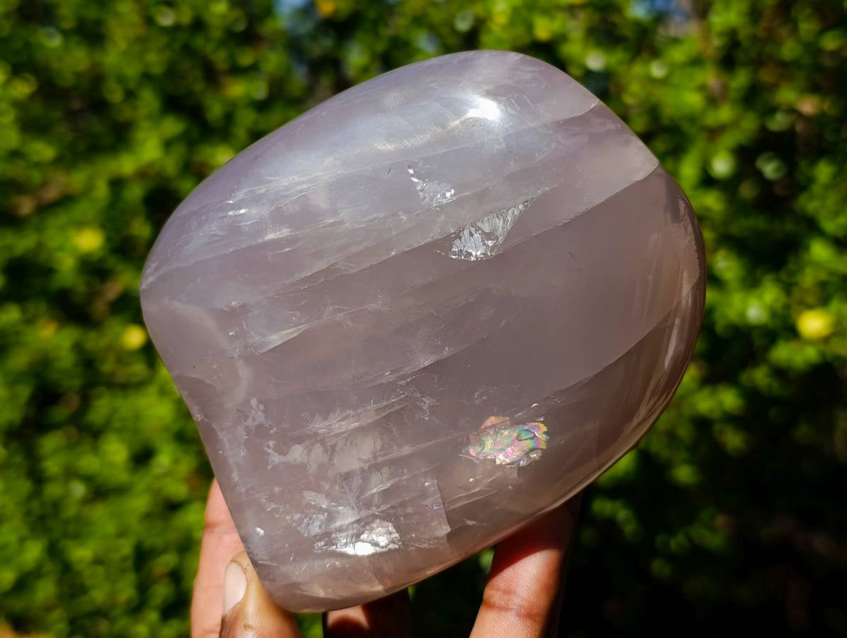 Polished Rose Quartz Standing Free Forms x 2 From Madagascar - Toprock Gemstones and Minerals 