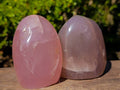 Polished Rose Quartz Standing Free Forms x 2 From Madagascar - Toprock Gemstones and Minerals 