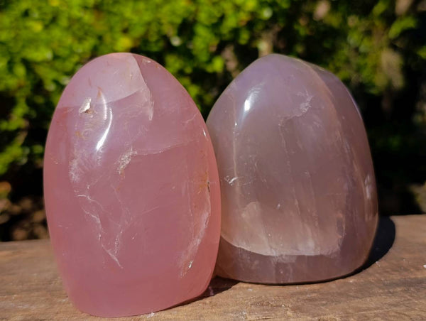 Polished Rose Quartz Standing Free Forms x 2 From Madagascar