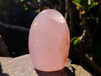 Polished Rose Quartz Standing Free Forms x 2 From Madagascar - Toprock Gemstones and Minerals 