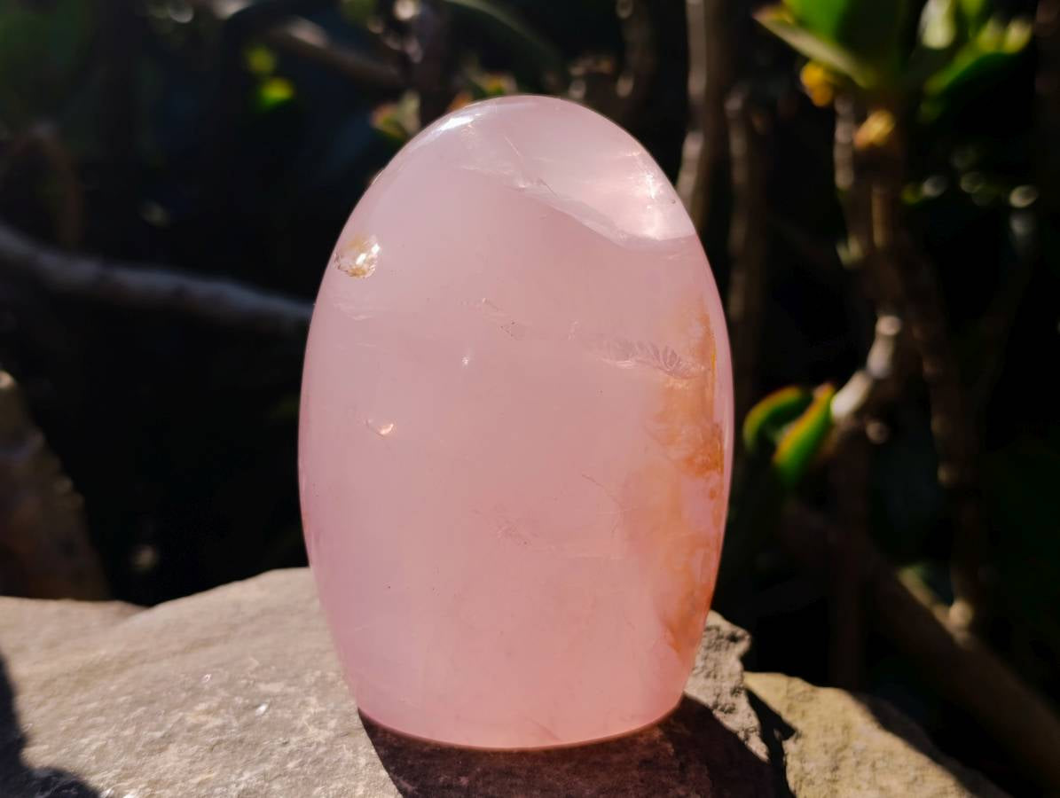 Polished Rose Quartz Standing Free Forms x 2 From Madagascar - Toprock Gemstones and Minerals 