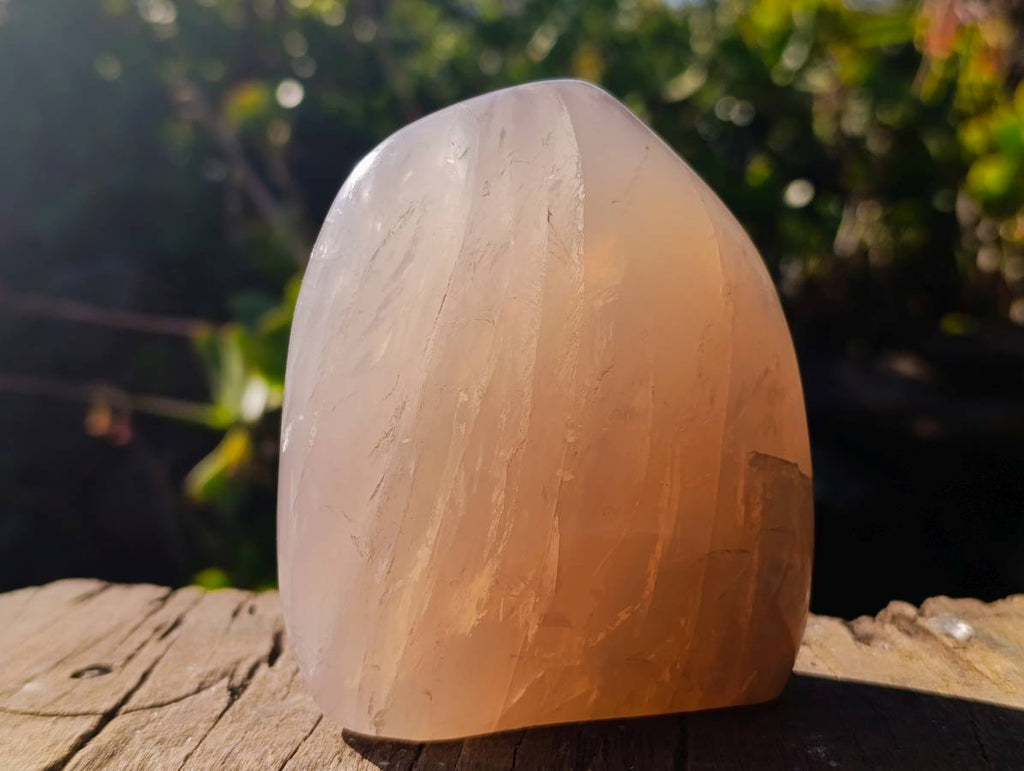 Polished Rose Quartz Standing Free Forms x 2 From Madagascar - Toprock Gemstones and Minerals 