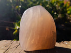 Polished Rose Quartz Standing Free Forms x 2 From Madagascar - Toprock Gemstones and Minerals 
