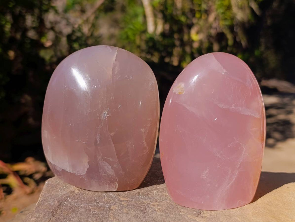 Polished Rose Quartz Standing Free Forms x 2 From Madagascar - Toprock Gemstones and Minerals 