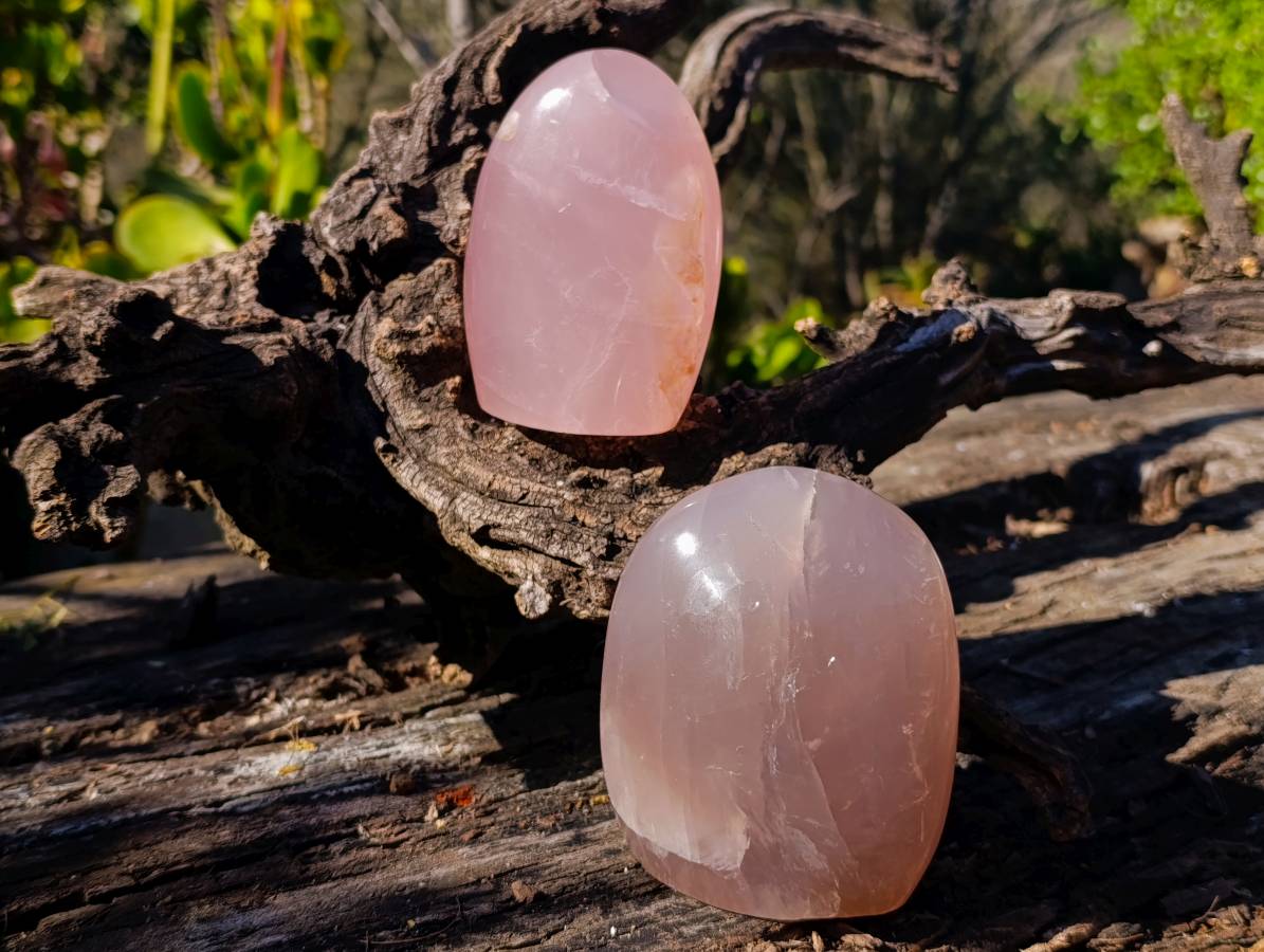 Polished Rose Quartz Standing Free Forms x 2 From Madagascar - Toprock Gemstones and Minerals 