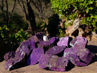 Natural Metallic Purpurite Specimens x 12 From Erongo, Namibia