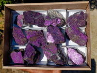 Natural Metallic Purpurite Specimens x 12 From Erongo, Namibia