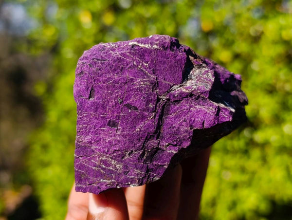 Natural Metallic Purpurite Specimens x 12 From Erongo, Namibia