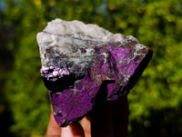 Natural Metallic Purpurite Specimens x 12 From Erongo, Namibia