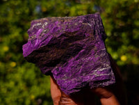 Natural Metallic Purpurite Specimens x 12 From Erongo, Namibia