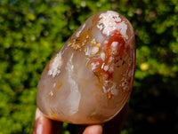 Polished Flower Agate Standing Free Forms x 3 From Antsahalova, Madagascar