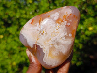 Polished Flower Agate Standing Free Forms x 3 From Antsahalova, Madagascar