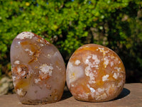 Polished Flower Agate Standing Free Forms x 3 From Antsahalova, Madagascar