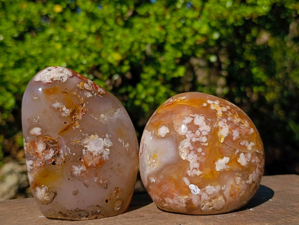 Polished Flower Agate Standing Free Forms x 3 From Antsahalova, Madagascar