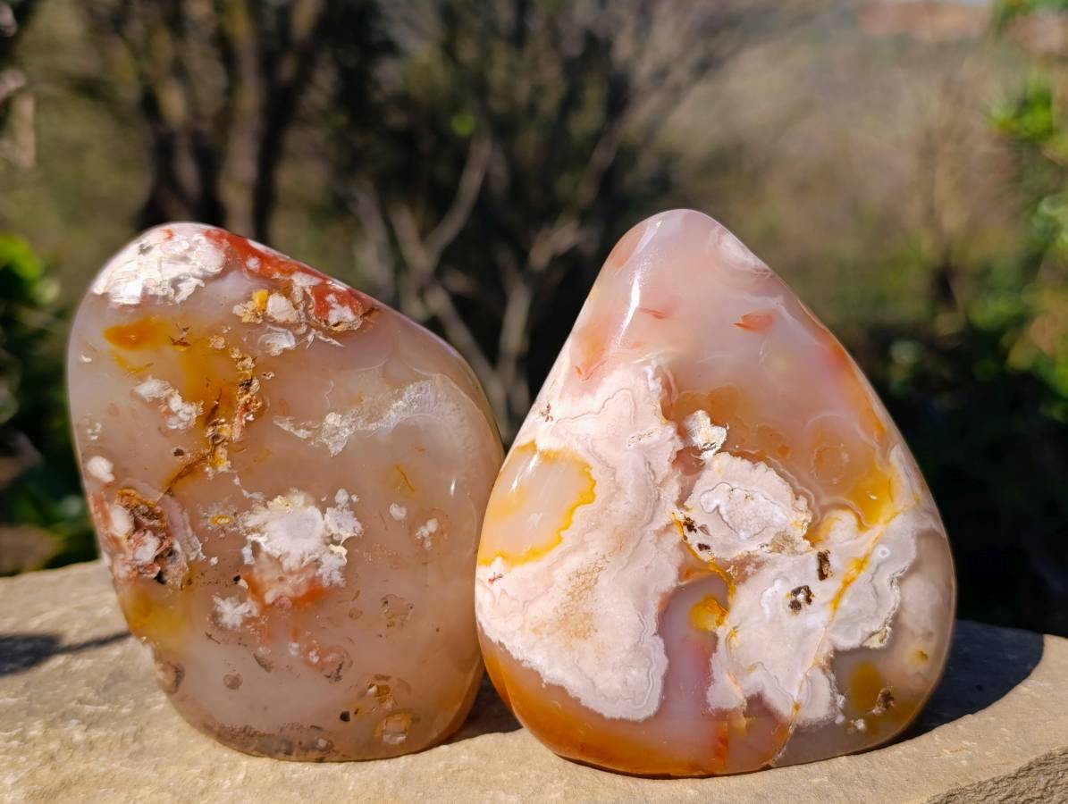 Polished Flower Agate Standing Free Forms x 3 From Antsahalova, Madagascar - Toprock Gemstones and Minerals 