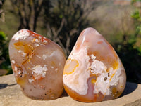 Polished Flower Agate Standing Free Forms x 3 From Antsahalova, Madagascar