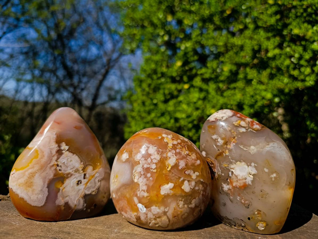Polished Flower Agate Standing Free Forms x 3 From Antsahalova, Madagascar - Toprock Gemstones and Minerals 