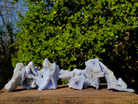 Natural Etched Blue Chalcedony Specimens x 6 From Nsanje, Malawi