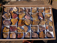 Natural Selected Nguni Jasper Cobbed Specimens x 36 From Prieska, South Africa