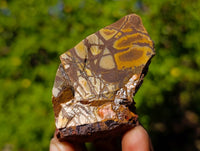 Natural Selected Nguni Jasper Cobbed Specimens x 36 From Prieska, South Africa