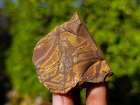Natural Selected Nguni Jasper Cobbed Specimens x 36 From Prieska, South Africa