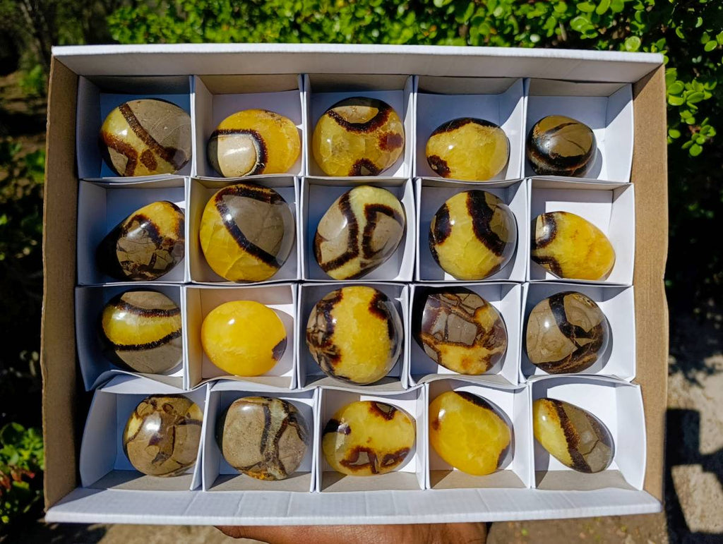 Polished Septerye Palm Stones x 20 From Madagascar - Toprock Gemstones and Minerals 