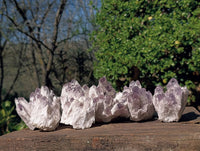 Natural Sugar Amethyst Clusters x 7 From Zambia
