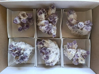 Natural Sugar Amethyst Clusters x 7 From Zambia