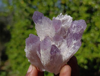 Natural Sugar Amethyst Clusters x 7 From Zambia