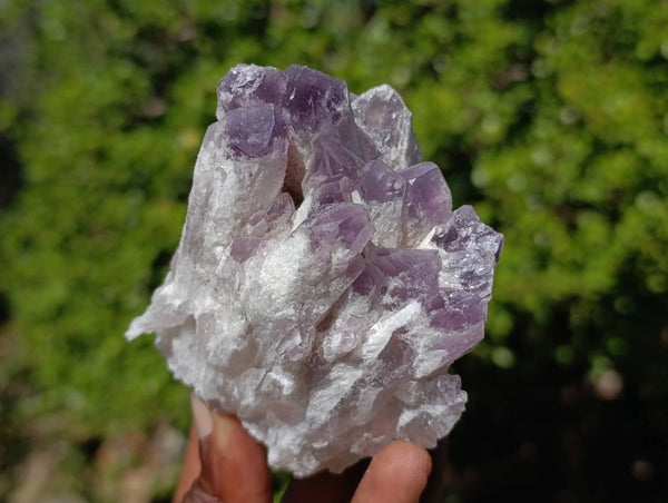 Natural Sugar Amethyst Clusters x 7 From Zambia