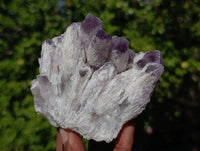 Natural Sugar Amethyst Clusters x 7 From Zambia
