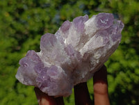 Natural Sugar Amethyst Clusters x 7 From Zambia