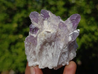 Natural Sugar Amethyst Clusters x 7 From Zambia