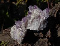 Natural Sugar Amethyst Clusters x 7 From Zambia