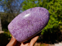 Polished Lepidolite Standing Free Forms x 2 From Ambatondrazaka, Madagascar