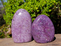 Polished Lepidolite Standing Free Forms x 2 From Ambatondrazaka, Madagascar