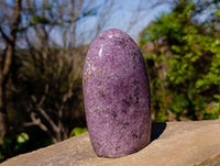 Polished Lepidolite Standing Free Forms x 2 From Ambatondrazaka, Madagascar