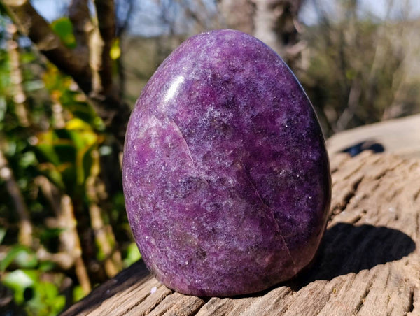 Polished Lepidolite Standing Free Forms x 2 From Ambatondrazaka, Madagascar